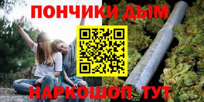 стафф Новодвинск