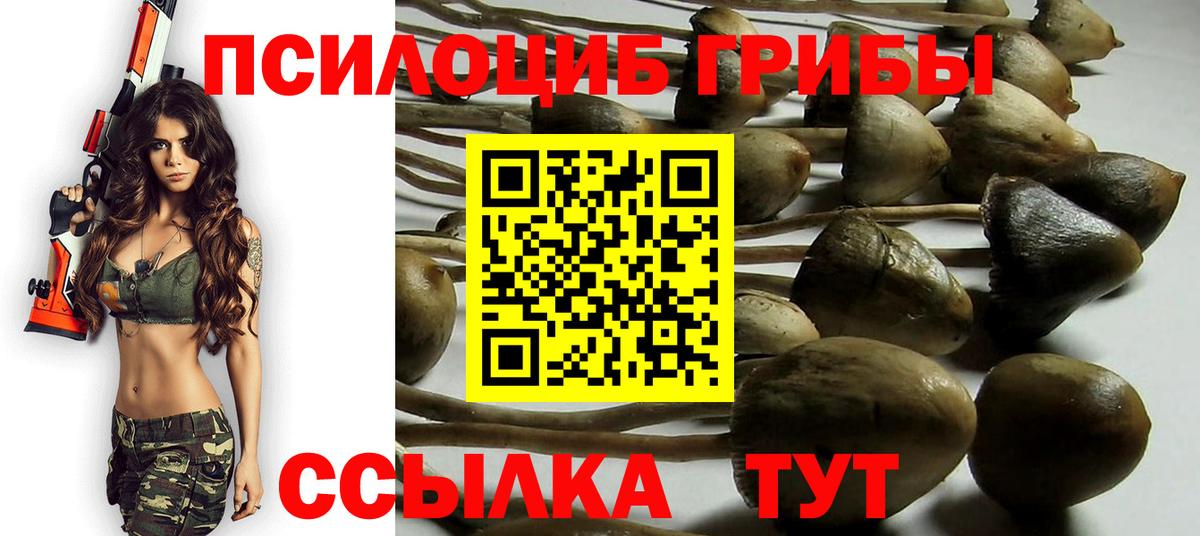 Псилоцибиновые грибы мицелий Северск