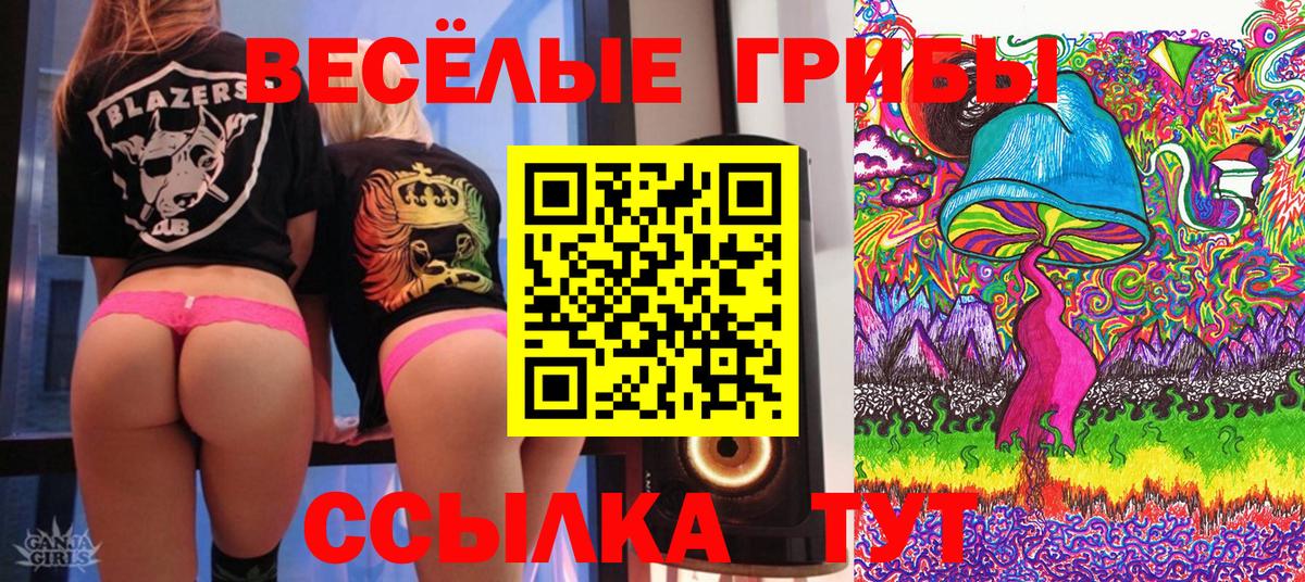 Северск  Псилоцибиновые грибы GOLDEN TEACHER  Псилоцибиновые грибы мухоморы  Вход с VPN 