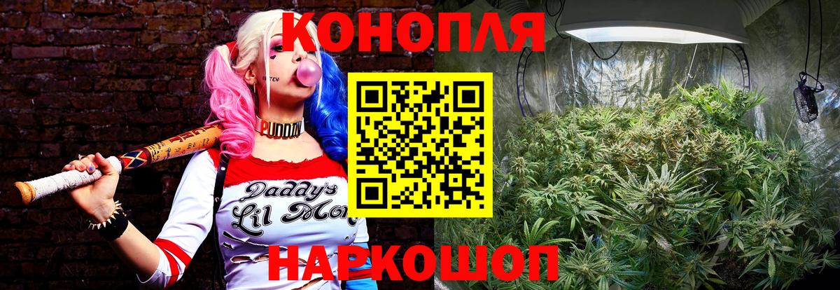 МАРИХУАНА SATIVA & INDICA Северск