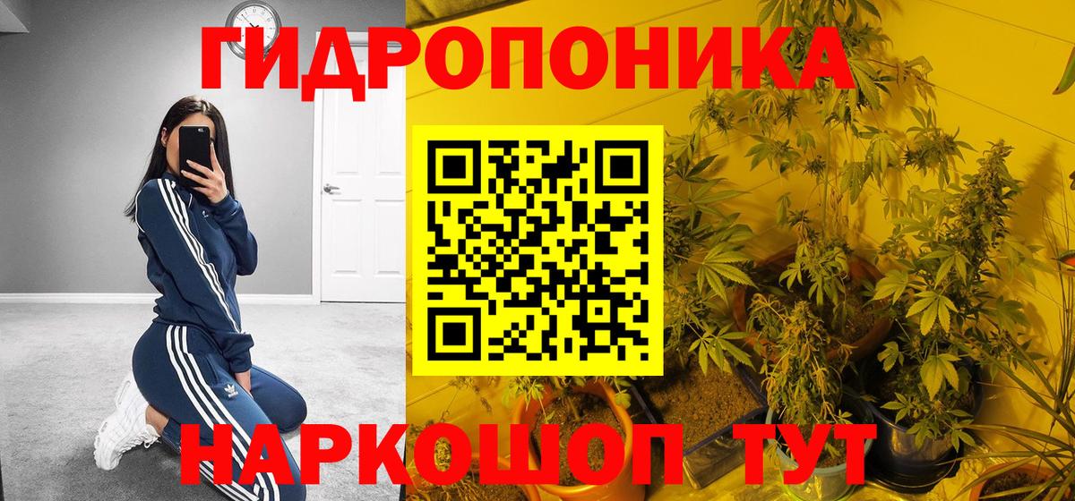 Северск  Бошки Шишки Bruce Banner  Бошки Шишки план  Вход с VPN 